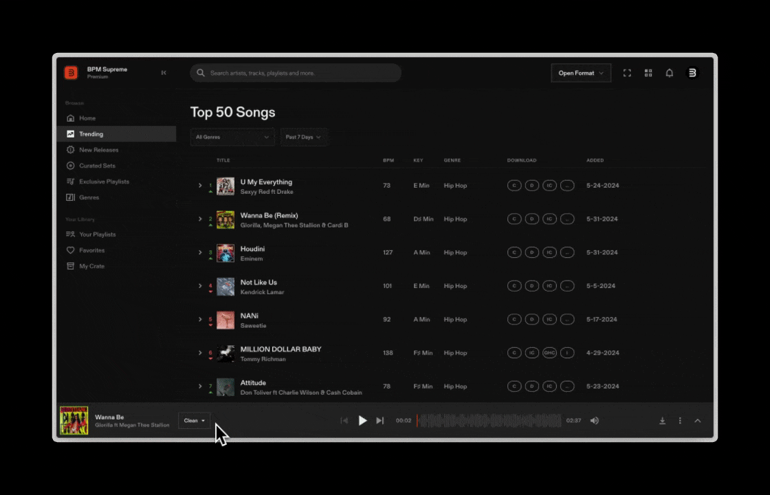 DownloadMiniplayer.gif
